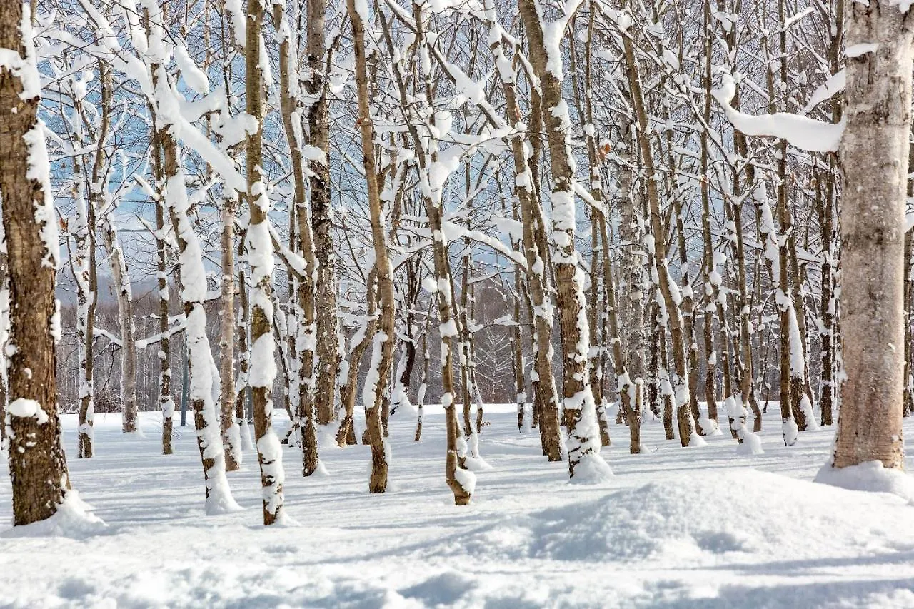 Θέρετρο Andaru Collection Niseko Ξενοδοχείο Kutchan