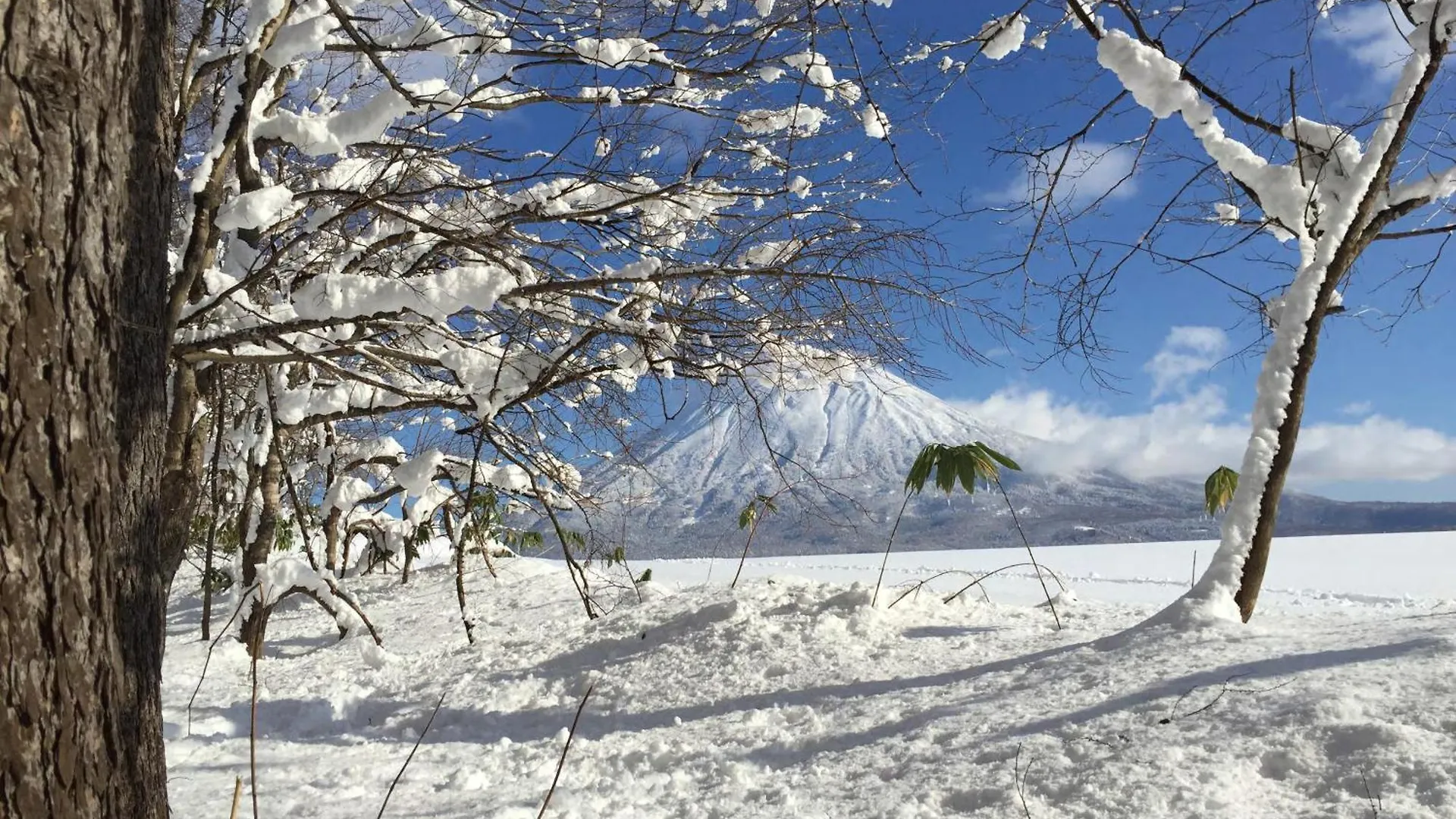 Θέρετρο Andaru Collection Niseko Ξενοδοχείο Kutchan