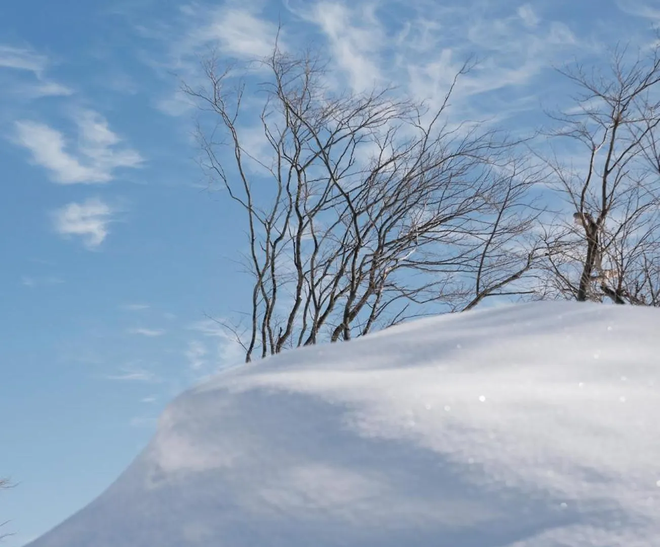 Andaru Collection Niseko Ξενοδοχείο Kutchan 3*,