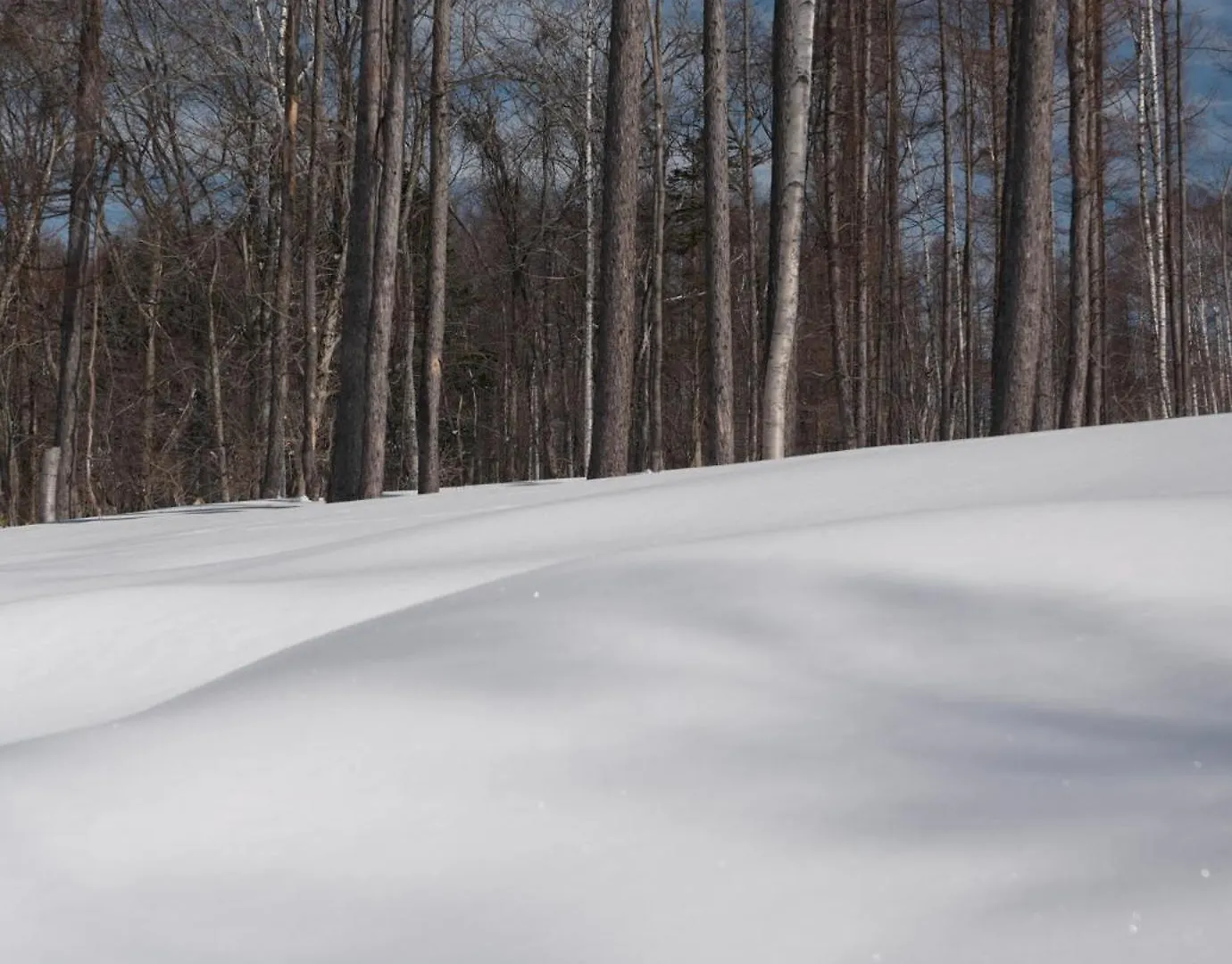 Θέρετρο Andaru Collection Niseko Ξενοδοχείο Kutchan