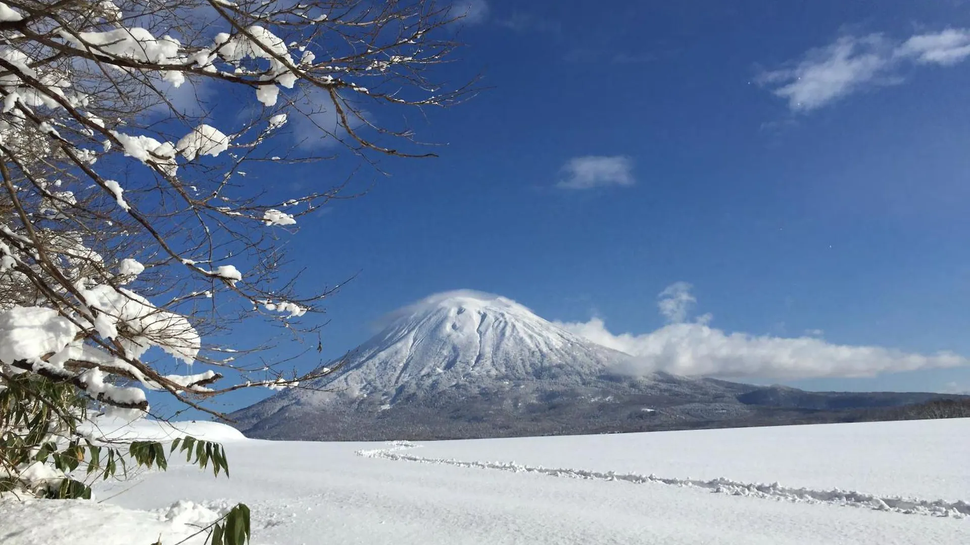Andaru Collection Niseko Ξενοδοχείο Kutchan Ιαπωνία