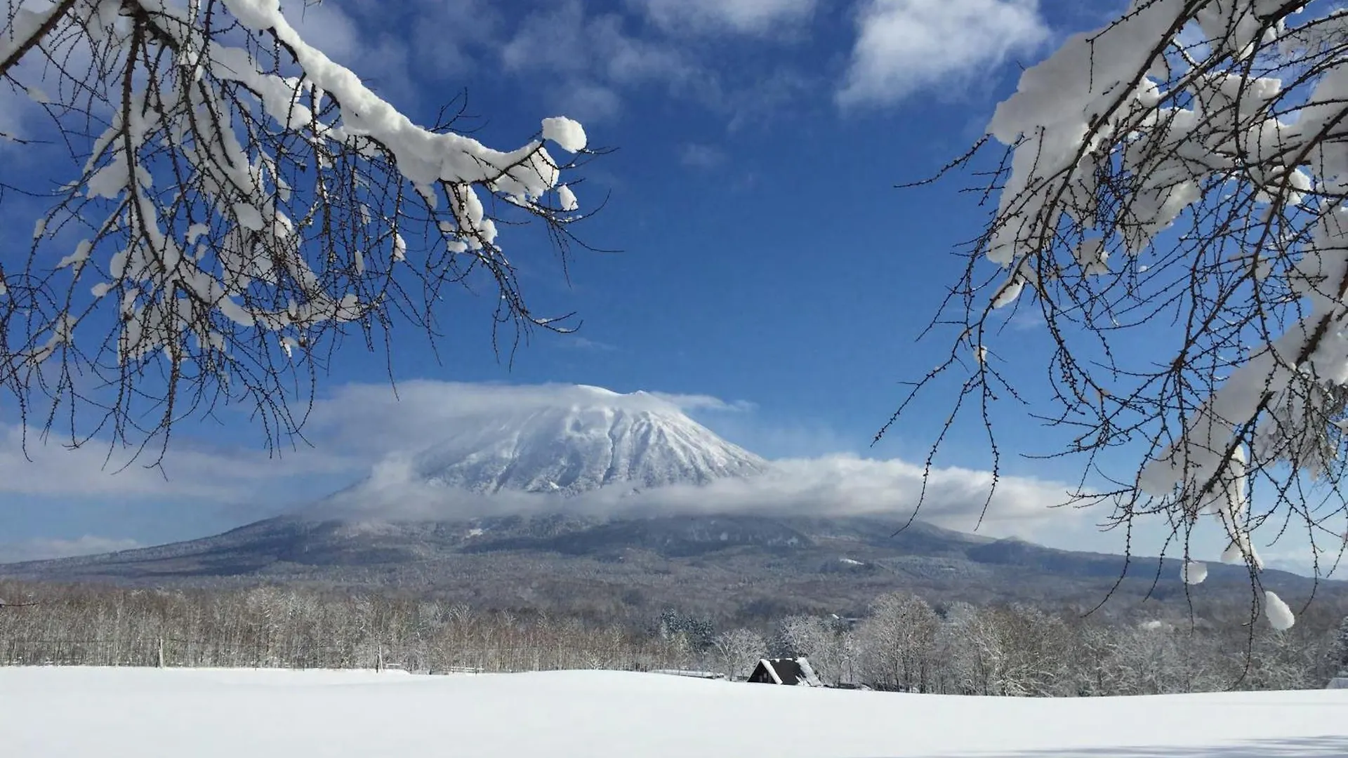 Andaru Collection Niseko Hotel Kutchan 3*,  Japan
